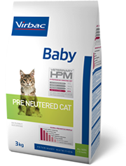 Baby - Pre Neutered cat