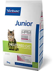 Junior - Neutered cat