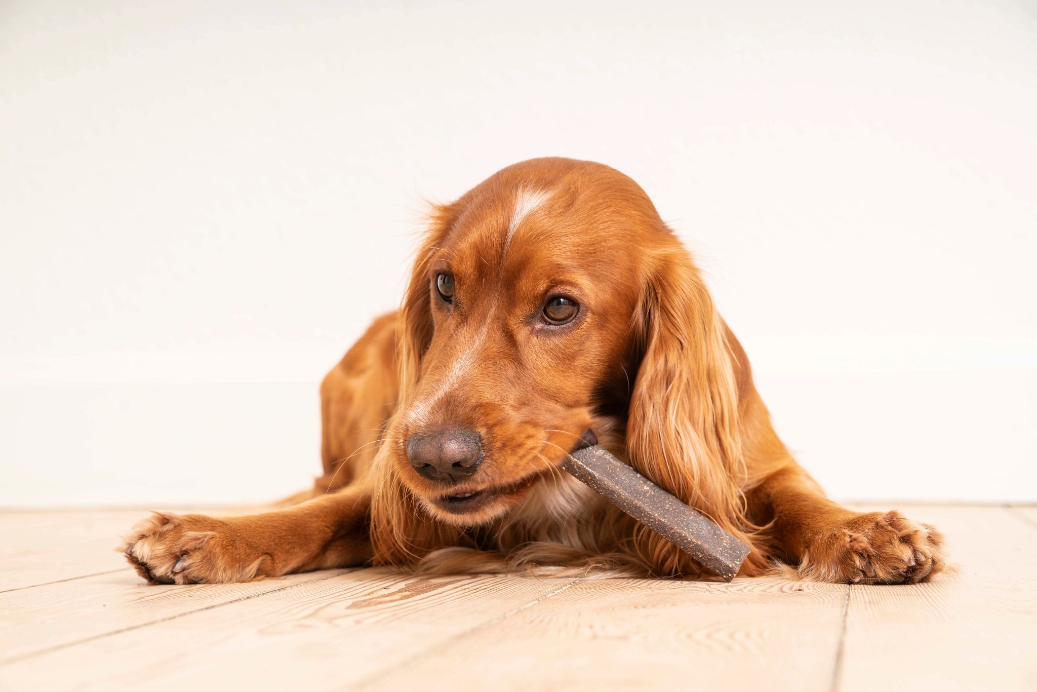 2022_TBR2840 (1).jpg