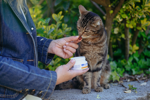 2024_04_16_A7100295 (1).jpg