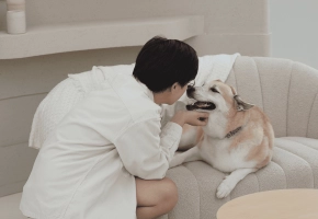 Dog_smiling and cuddling with petowner_indoor_advice