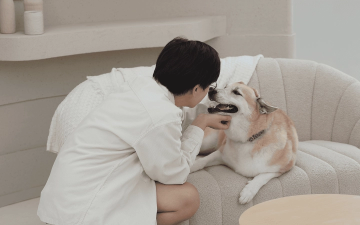Dog_smiling and cuddling with petowner_indoor_advice