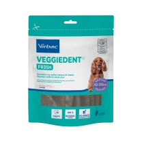 308897_Bag_Veggiedent-Fr3sh_M_face.png